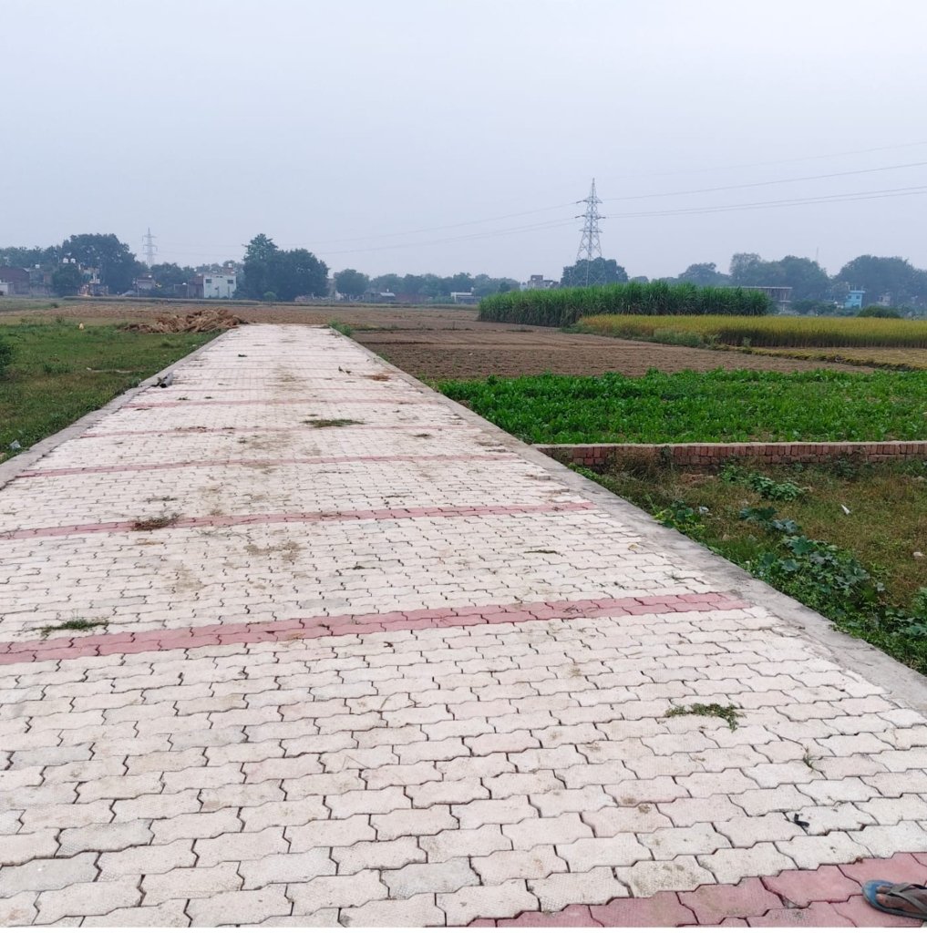 PHOTO-2025-10-28-08-41-30